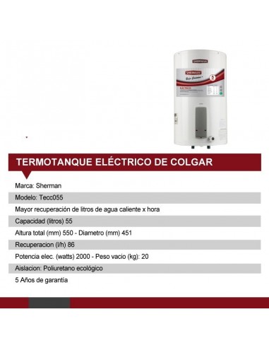Rheem Scherman Termotanque  55 Lts. Electrico Inferior (55x45)