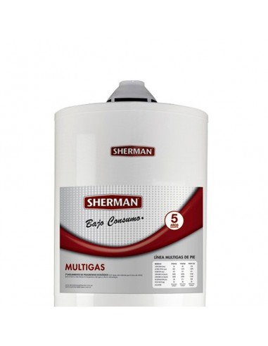 Rheem Scherman Termotanque  55 Lts. Electrico Inferior (55x45)