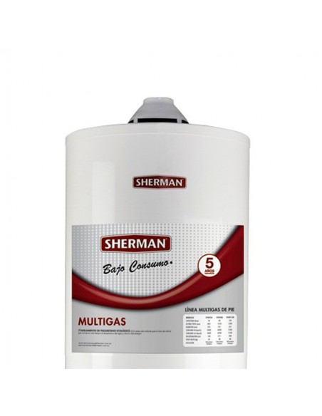 Rheem Scherman Termotanque  55 Lts. Electrico Inferior (55x45)