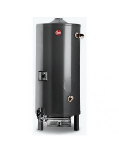 Rheem Com255___ Termotanque 255l Uso Comercial Electrico