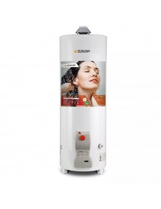 Sherman Tpgp120msh13 Termotanque 120 Lts. Supferior (__x45) (rheem Electrico.)