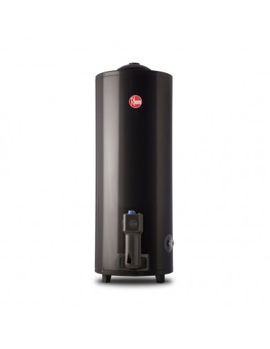 Rheem Tgnp120rh Termotanque 120l Gas Natural Superior Con Pie