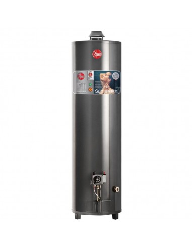 Rheem Tgnp150rh Termotanque 150l Gas Natural Superior Con Pie