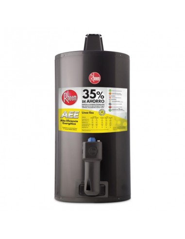 Rheem Tgnc050rh Termotanque  50l Gas Natural Inferior Colgar