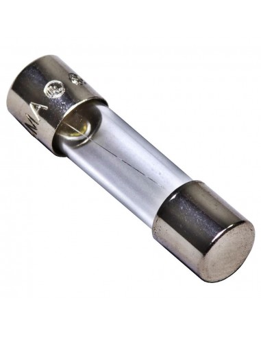 Mgl B170 Fusible De Vidrio 21mm 20.0 A