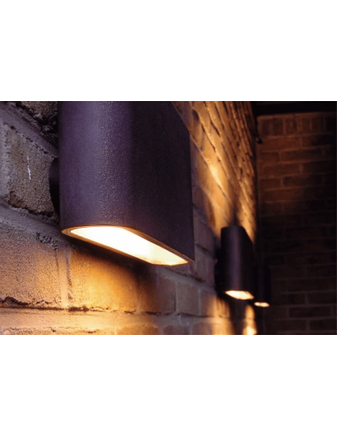 - 180g 32001 Akira I Ng Bidireccional...