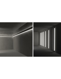 Lucciola Dob057... 2