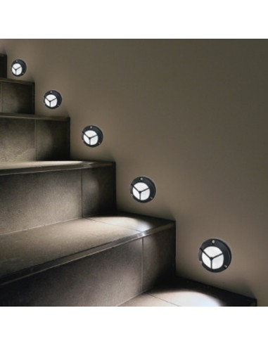 - 180g 38037 Bulk Mini Tortuga...