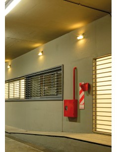 Lucciola Pr.260x Queen... 2