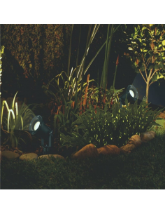 - 180g Pascal Jab 62074... 2