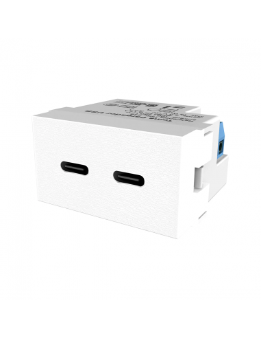 Jeluz 60546 Modulo Usb-c Doble De... Jeluz 60546 Modulo Usb-c Doble De...