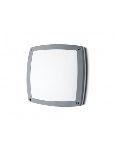 Lucciola T562 Petra Aplique...