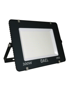 Bael Pointer Pro 300...