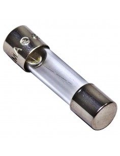 Mgl B170 Fusible De Vidrio 21mm  1.0 A 2