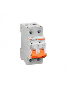 Roker Rxt0220  Termica Din Bip  20a. 2