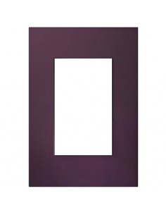 Jeluz 45098/34  Tapa Std Platinum              Uva (verona) 2