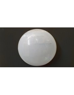 Rbc 5509gr Mod Platinum...