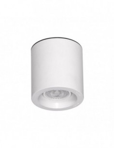 Rustica 1307 Pomona Spot...