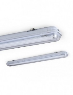 Lucciola X301 Mare Liston...