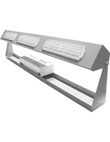 Bael Washer 50 Bañador Lineal De... Bael Washer 50 Bañador Lineal De...