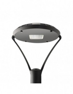 Lucciola 1710 Tribeca...