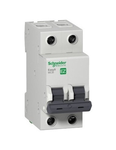 Schneider Ez9f34216 Termomagnetica...
