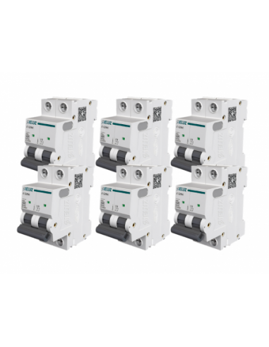 Jeluz Pack X6 Termomagnetica Din 2 X...