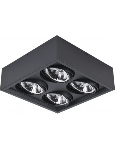 Lucciola Pl020 4 L Zonic Plafon 4x...