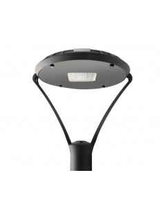 Lucciola 1720 Tribeca...