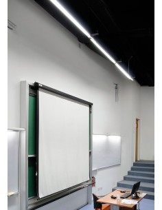 Lucciola Cosmic Per136... 2