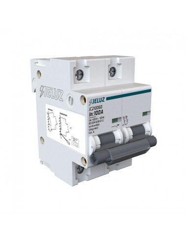 Jeluz 210060 Termomagnetica Din 2 X...