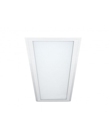 . Lucciola Rea123 Tomasso Ii Panel...